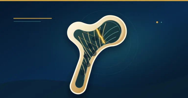 Broken a Bone From a Simple Fall? It May Be a Fragility Fracture